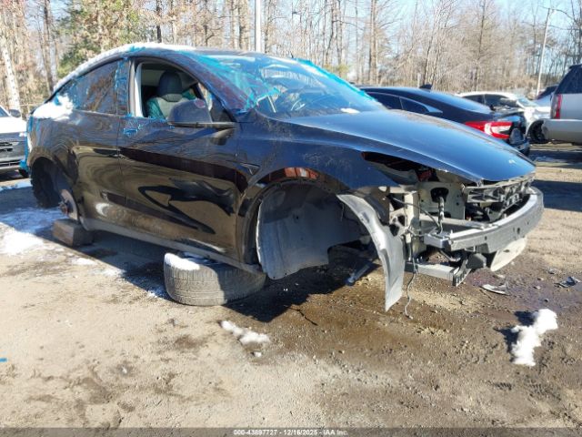 2023 TESLA MODEL Y 7SAYGDEE7PA117953
