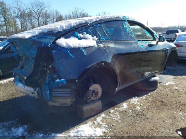 2023 TESLA MODEL Y 7SAYGDEE7PA117953 Photo 3