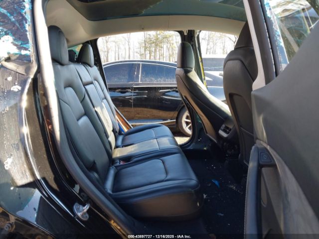 2023 TESLA MODEL Y 7SAYGDEE7PA117953 Photo 7