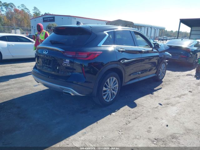 2024 INFINITI QX50 3PCAJ5AA0RF110499 Photo 3