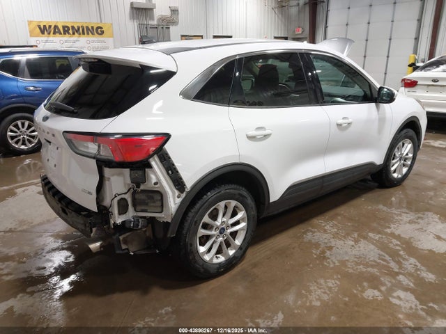 Ford ESCAPE SE 2020 1FMCU9G60LUB42017 Image 4