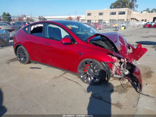 2024 TESLA MODEL Y 7SAYGDEF4RF162153