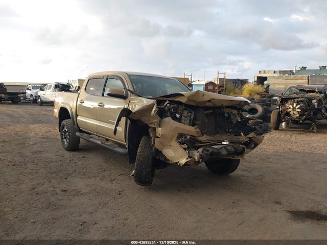 3TMCZ5AN7HM062465 Toyota Tacoma