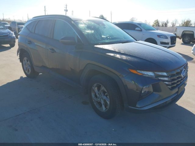 2023 HYUNDAI TUCSON 5NMJBCAE1PH212183
