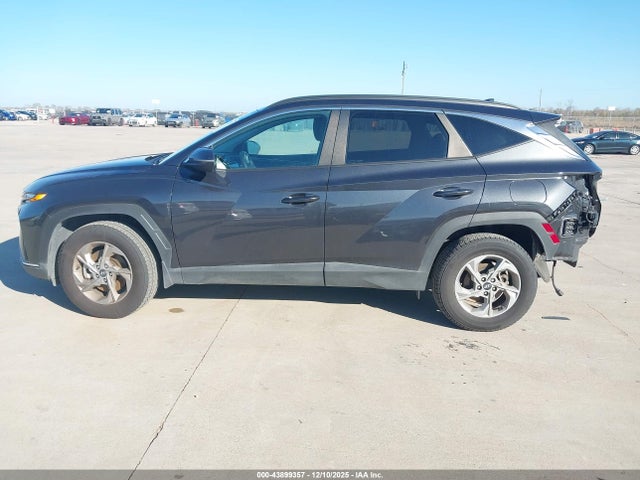 Hyundai TUCSON SEL 2023 5NMJBCAE1PH212183 Image 14