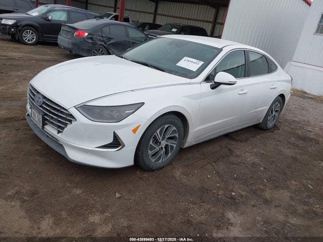 KMHL24JJXPA071888 Hyundai Sonata Hybrid Blue