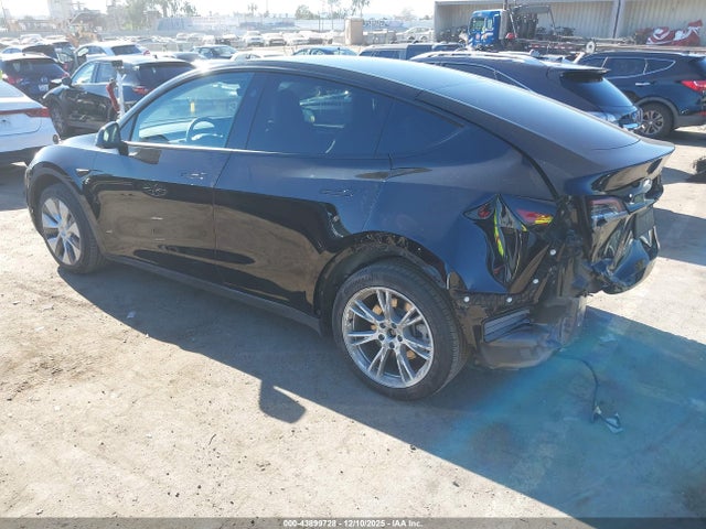 2023 TESLA MODEL Y 7SAYGDED3PF948392 Photo 2