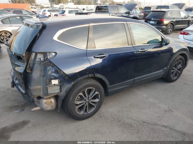 2020 HONDA CR-V 5J6RW1H54LA006551 Photo 3