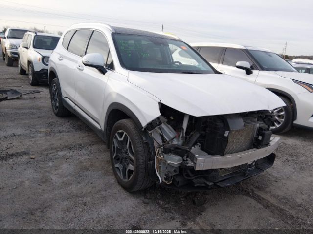 2023 HYUNDAI SANTA FE HYBRID 5NMS3DA12PH007444