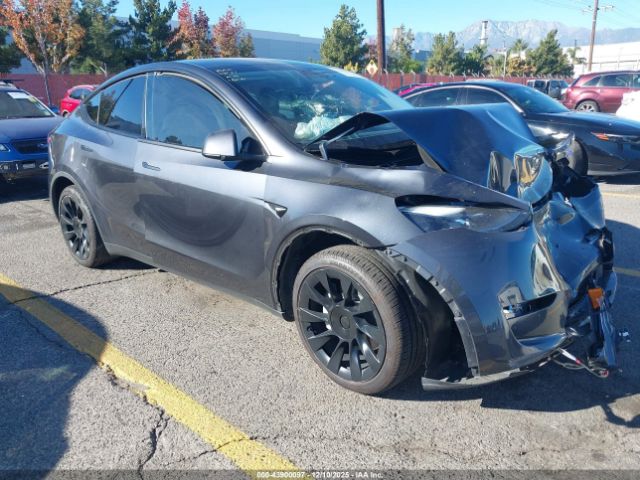 2024 TESLA MODEL Y 7SAYGDEEXRA227463