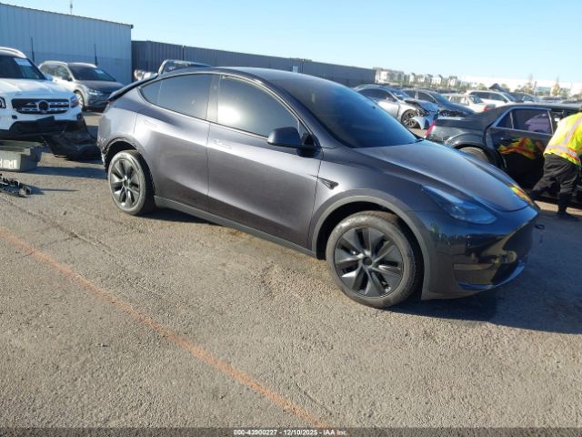 2024 TESLA MODEL Y 7SAYGDED6RF149676