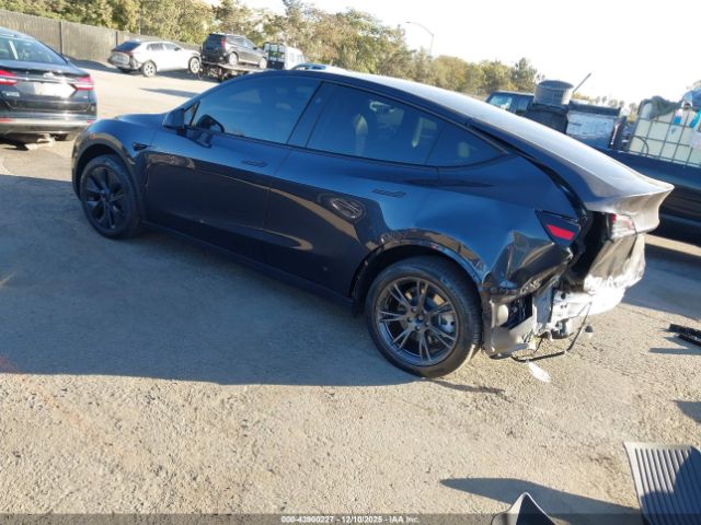 2024 TESLA MODEL Y 7SAYGDED6RF149676 Photo 2
