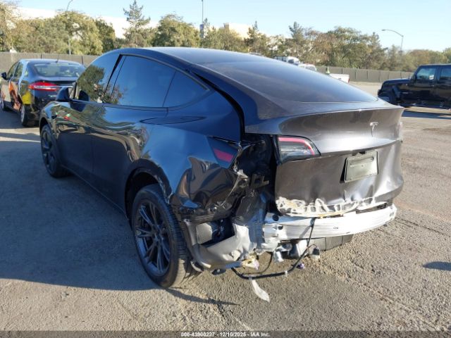 2024 TESLA MODEL Y 7SAYGDED6RF149676 Photo 5