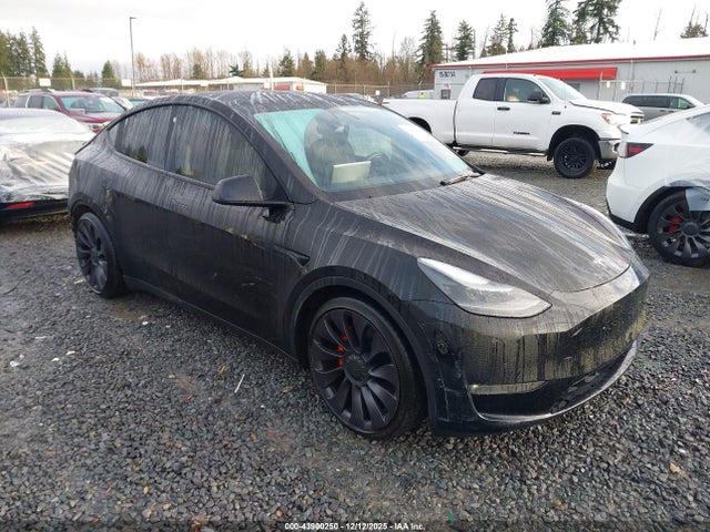 2021 TESLA MODEL Y 5YJYGDEF3MF269281 Photo 0
