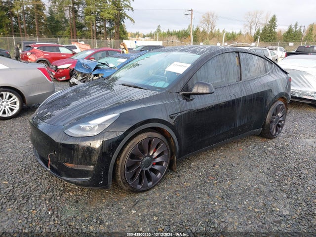 2021 TESLA MODEL Y 5YJYGDEF3MF269281 Photo 1
