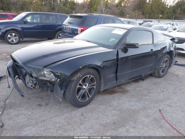 2014 FORD MUSTANG 1ZVBP8AM4E5289718 Photo 1