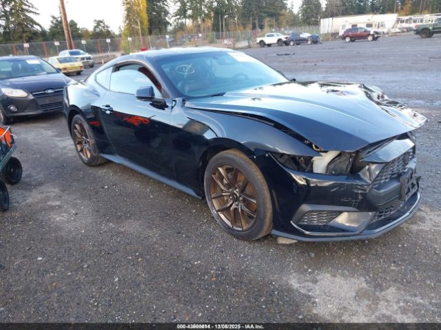 2024 FORD MUSTANG 1FA6P8TH5R5141769