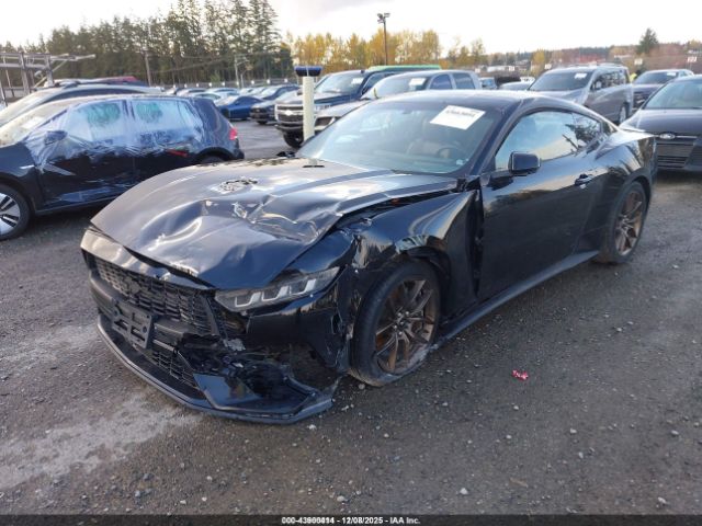 2024 FORD MUSTANG 1FA6P8TH5R5141769 Photo 1