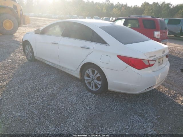 2011 HYUNDAI SONATA 5NPEC4AC2BH181511 Photo 2