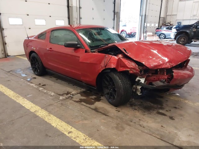 2012 FORD MUSTANG 1ZVBP8AM9C5225218