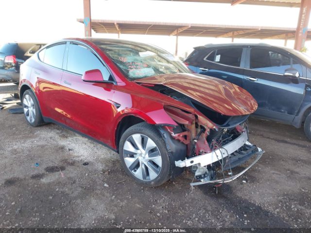 2024 TESLA MODEL Y 7SAYGDEE8RA275110