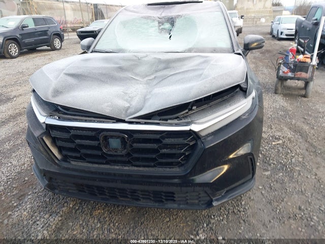 Honda Cr-v Ex 2wd 2023 2HKRS3H42PH301196 Image 12