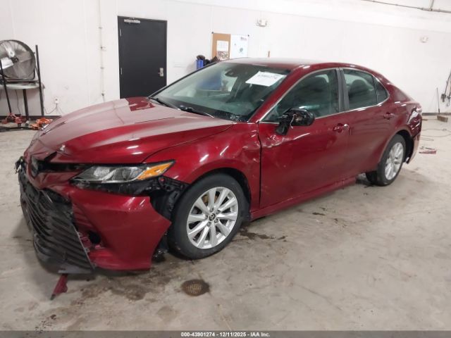 2020 TOYOTA CAMRY 4T1L11AK3LU998542 Photo 1