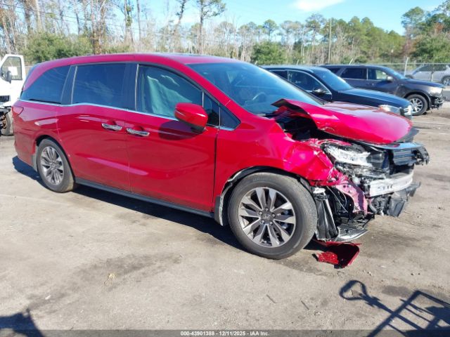 2024 HONDA ODYSSEY 5FNRL6H6XRB072753