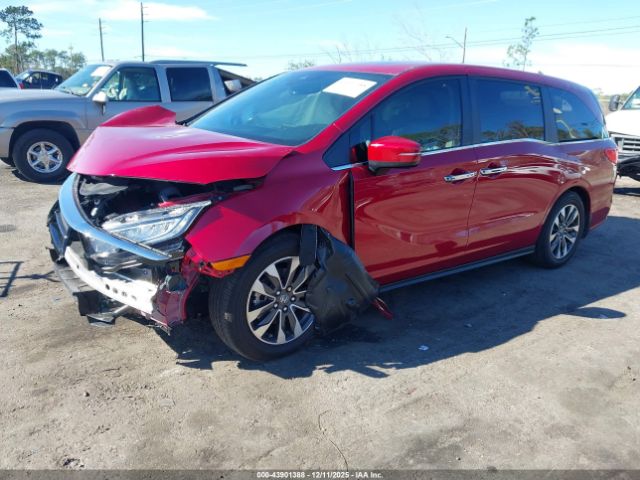 2024 HONDA ODYSSEY 5FNRL6H6XRB072753 Photo 1