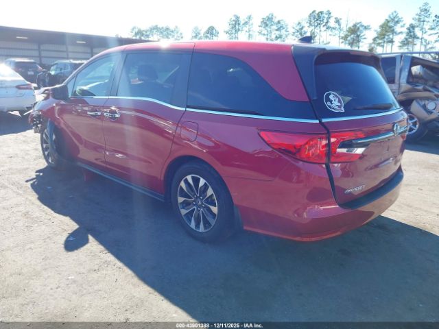 2024 HONDA ODYSSEY 5FNRL6H6XRB072753 Photo 2
