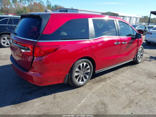 2024 HONDA ODYSSEY 5FNRL6H6XRB072753 Photo 3