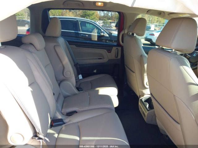 2024 HONDA ODYSSEY 5FNRL6H6XRB072753 Photo 7
