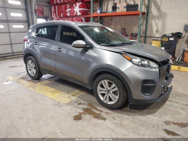 2017 KIA SPORTAGE KNDPM3AC4H7235596