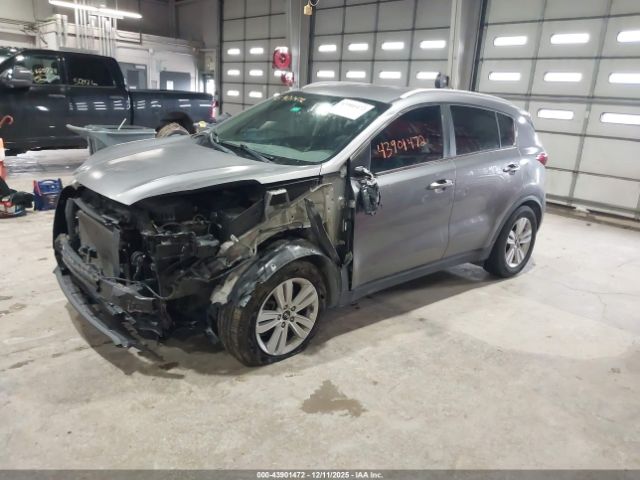 2017 KIA SPORTAGE KNDPM3AC4H7235596 Photo 1