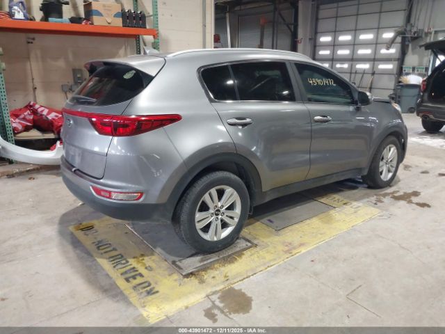 2017 KIA SPORTAGE KNDPM3AC4H7235596 Photo 3