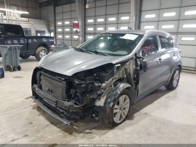 2017 KIA SPORTAGE KNDPM3AC4H7235596 Photo 5