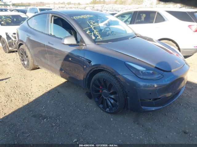 2022 TESLA MODEL Y 7SAYGDEF5NF500654
