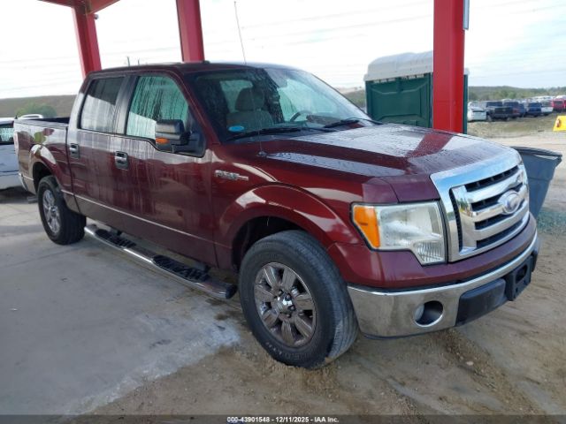 2009 FORD F-150 1FTRW128X9FA05179