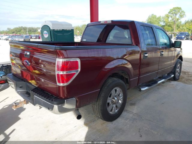 2009 FORD F-150 1FTRW128X9FA05179 Photo 3