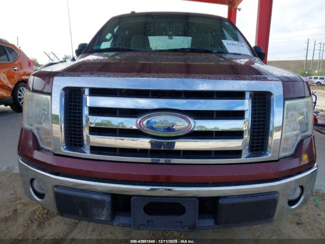 2009 FORD F-150 1FTRW128X9FA05179 Photo 5
