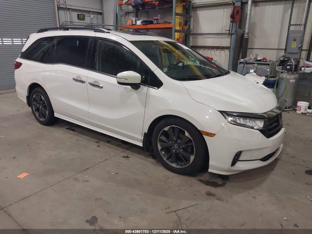 2023 HONDA ODYSSEY 5FNRL6H95PB030675
