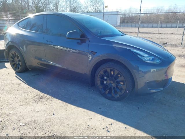 2023 TESLA MODEL Y 7SAYGDEE9PA044441