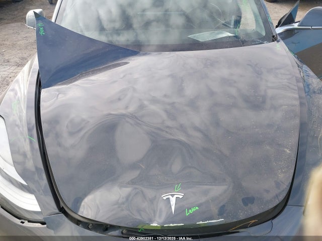 2019 TESLA MODEL 3 5YJ3E1EB7KF389142 Photo 9