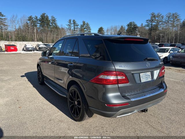 2015 MERCEDES-BENZ ML 250 BLUETEC 4JGDA0EB9FA562566 Photo 2