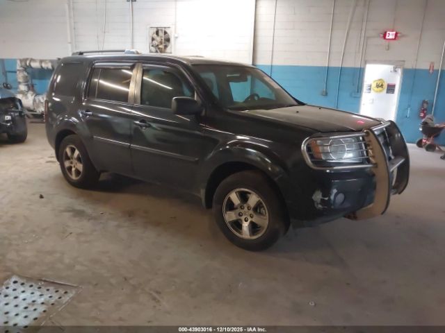 2010 HONDA PILOT 5FNYF4H63AB013667