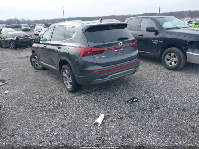 2023 HYUNDAI SANTA FE 5NMS2DAJ7PH525567 Photo 2