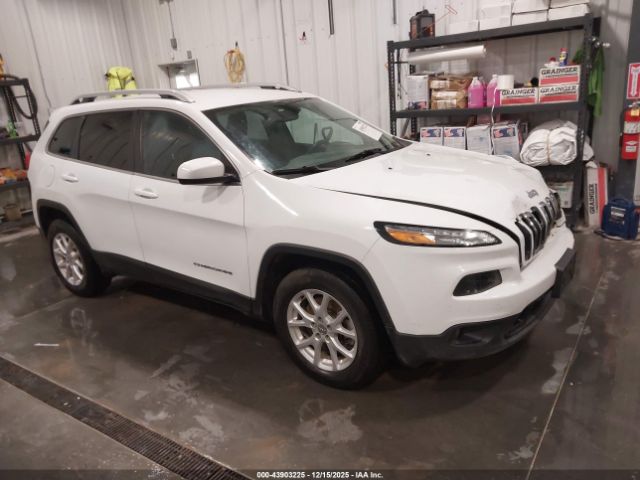 2017 JEEP CHEROKEE 1C4PJMCB2HW614508
