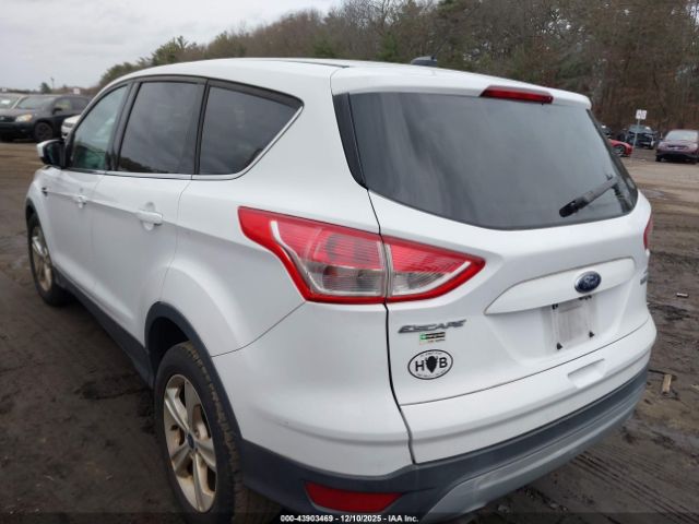2015 FORD ESCAPE 1FMCU0GX9FUA63941 Photo 2