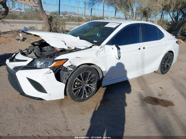 4T1G11AKXLU861003 Toyota CAMRY SE