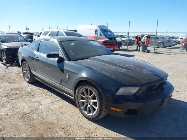 2010 FORD MUSTANG 1ZVBP8AN8A5116819